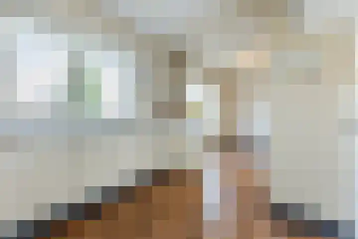 Gaarde 80 Dongen thumbnail 17