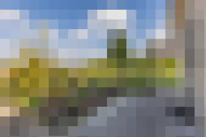 Gaarde 80 Dongen thumbnail 20