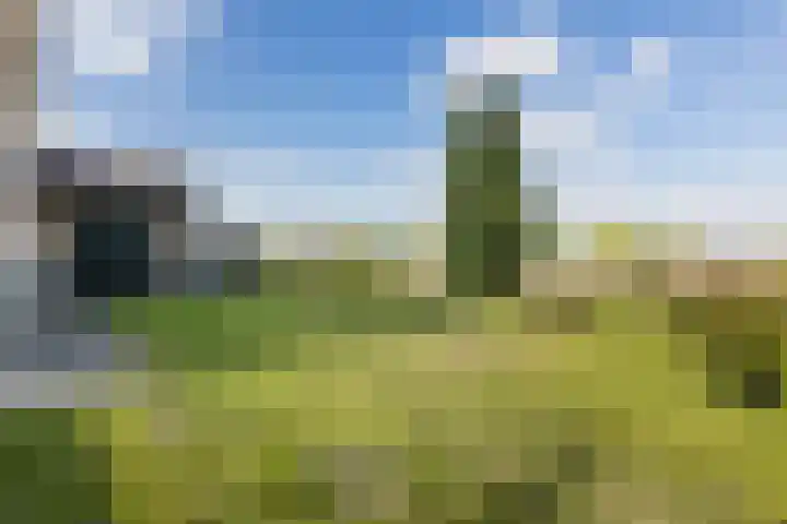 Gaarde 80 Dongen thumbnail 23