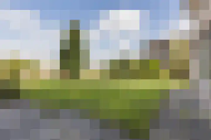Gaarde 80 Dongen thumbnail 24