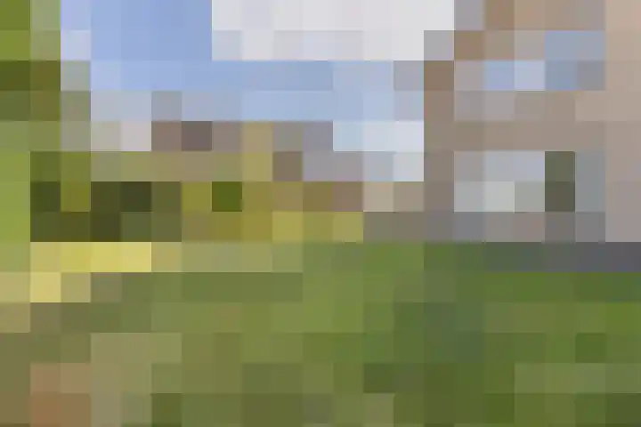 Gaarde 80 Dongen thumbnail 26