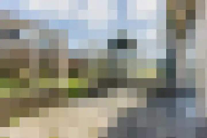 Gaarde 80 Dongen thumbnail 27