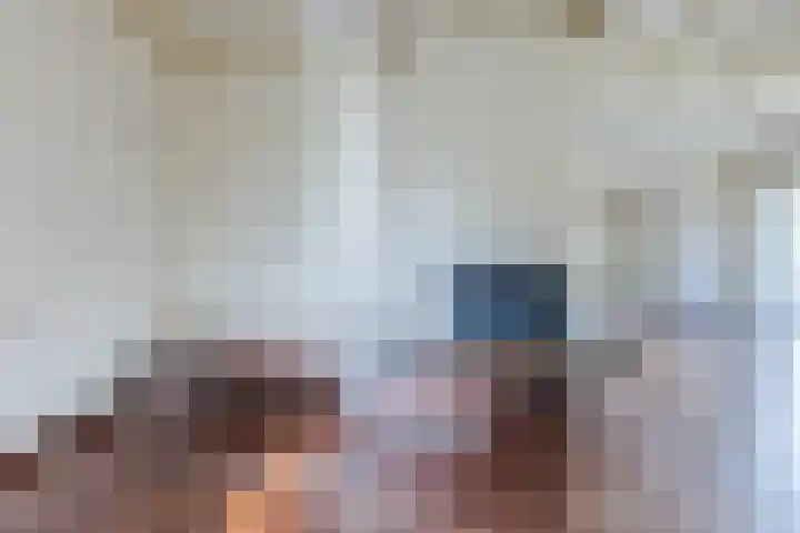 Gaarde 80 Dongen foto 3