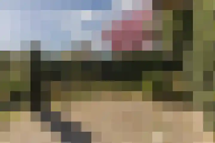 Gaarde 80 Dongen thumbnail 31