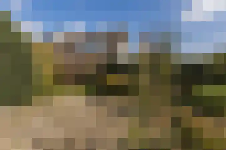 Gaarde 80 Dongen thumbnail 32