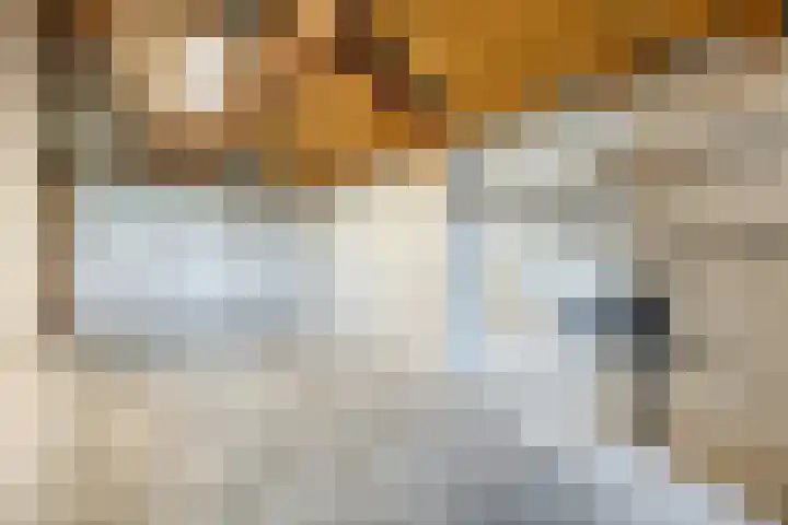 Gaarde 80 Dongen thumbnail 36