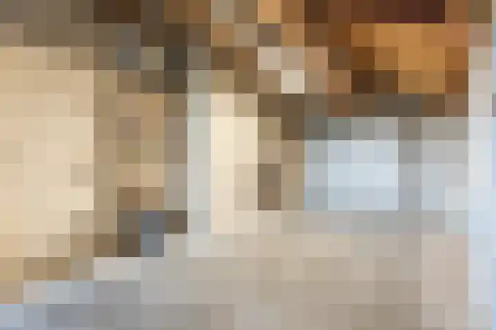 Gaarde 80 Dongen thumbnail 37