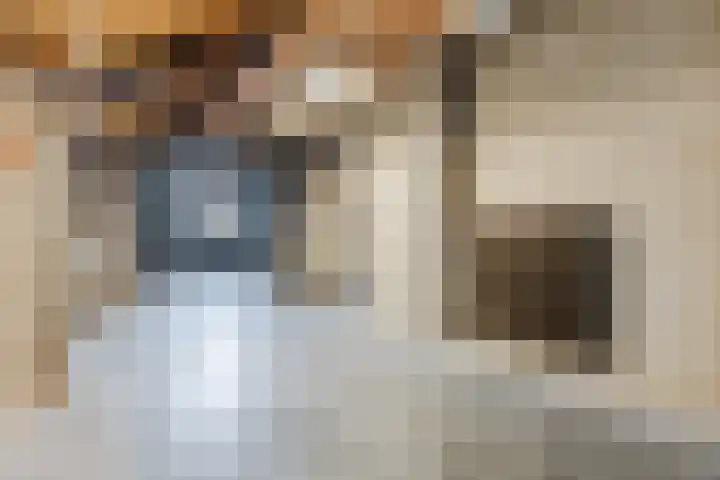 Gaarde 80 Dongen thumbnail 39