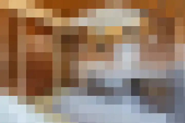 Gaarde 80 Dongen thumbnail 56