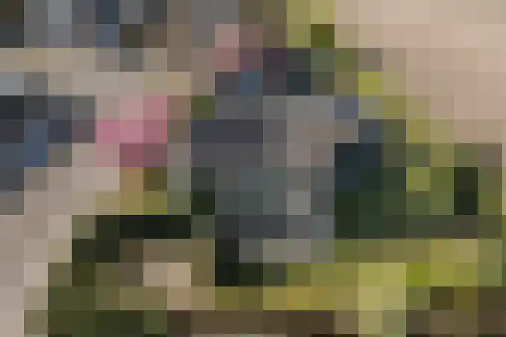 Gaarde 80 Dongen thumbnail 59