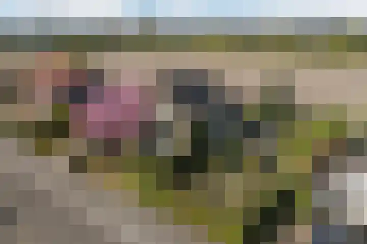 Gaarde 80 Dongen thumbnail 6