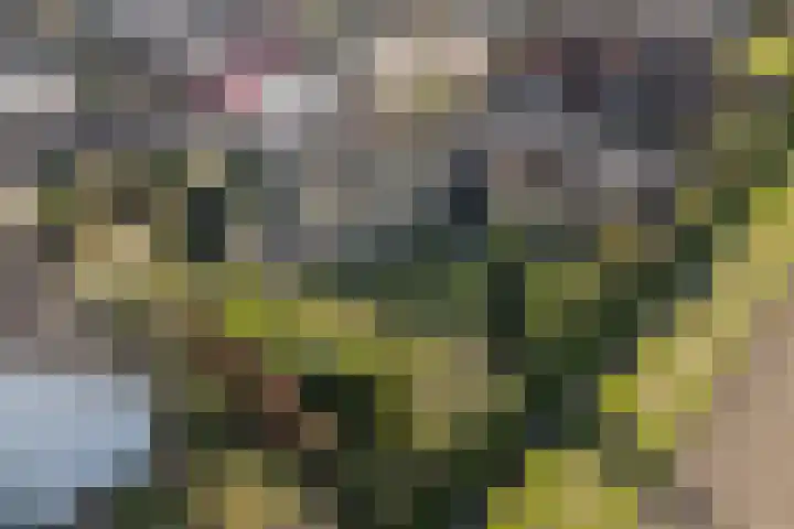 Gaarde 80 Dongen thumbnail 60