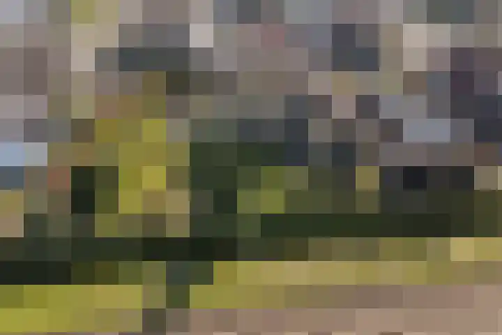 Gaarde 80 Dongen thumbnail 61