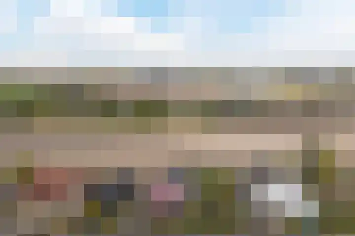 Gaarde 80 Dongen thumbnail 62
