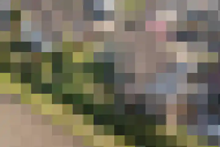 Gaarde 80 Dongen thumbnail 63