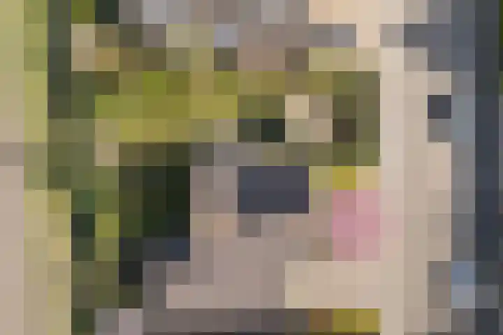 Gaarde 80 Dongen thumbnail 64