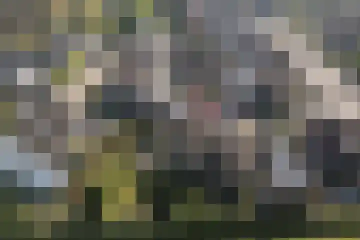 Gaarde 80 Dongen thumbnail 66
