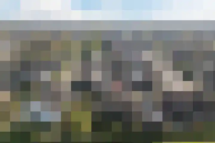 Gaarde 80 Dongen thumbnail 67