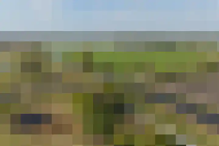 Gaarde 80 Dongen thumbnail 68
