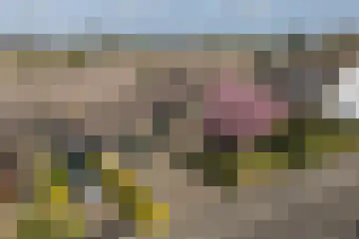 Gaarde 80 Dongen thumbnail 69