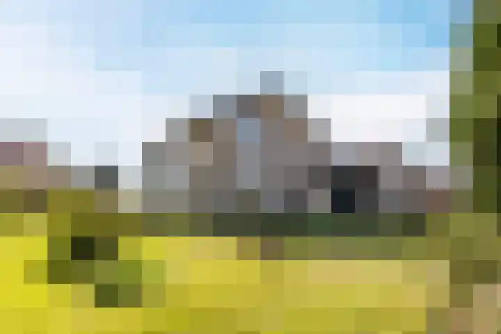 Gaarde 80 Dongen thumbnail 7
