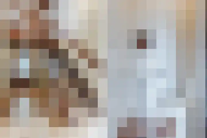 Gaarde 80 Dongen thumbnail 8