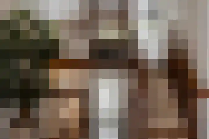 Gaardedreef 21 Zoetermeer thumbnail 26