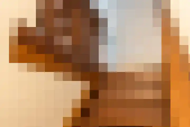 Gaardedreef 21 Zoetermeer thumbnail 38