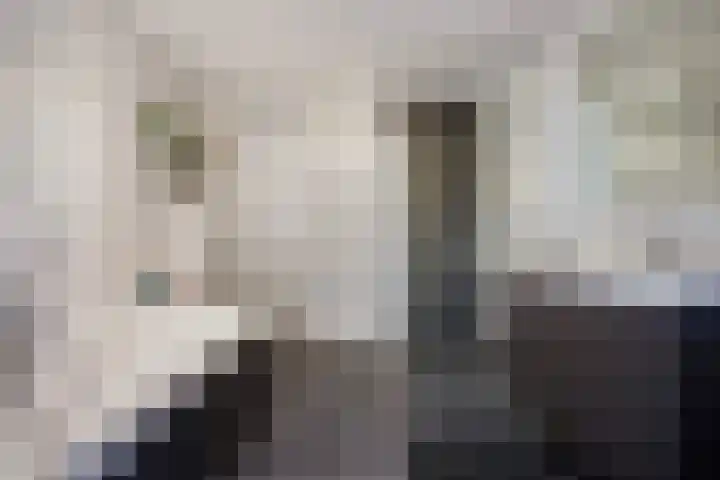 Gaardedreef 32 Zoetermeer thumbnail 37