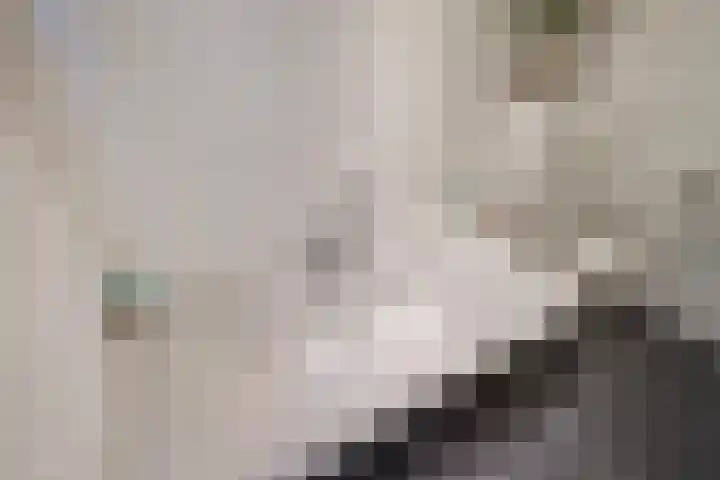 Gaardedreef 32 Zoetermeer thumbnail 40