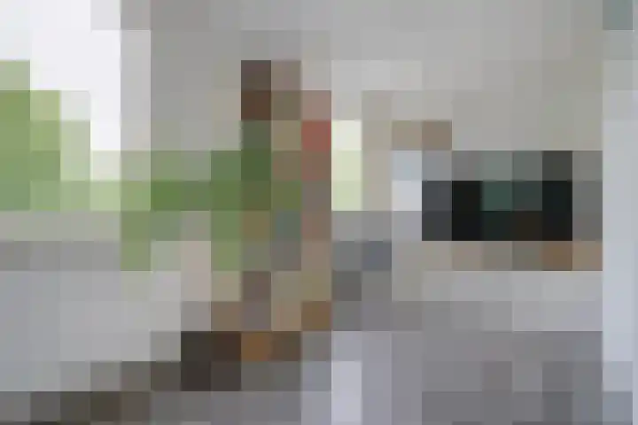 Gaardedreef 32 Zoetermeer thumbnail 44