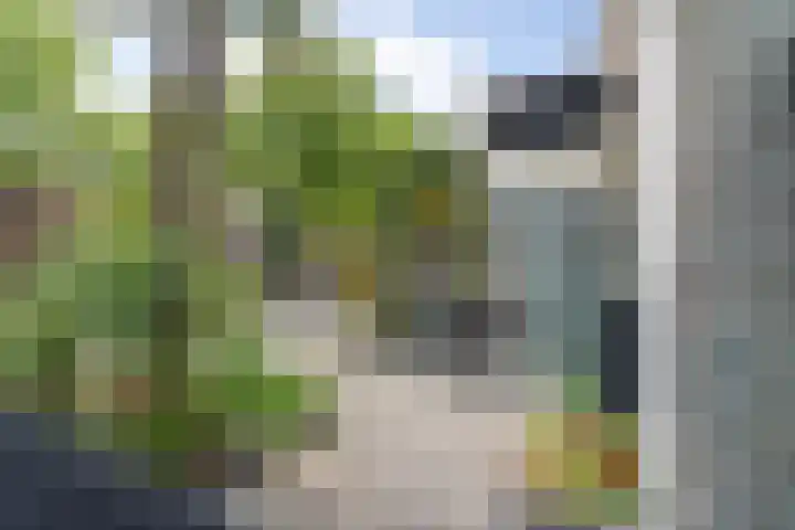 Gaardedreef 32 Zoetermeer thumbnail 48