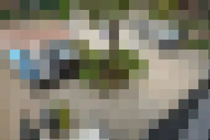 Gaardedreef 32 Zoetermeer thumbnail 51