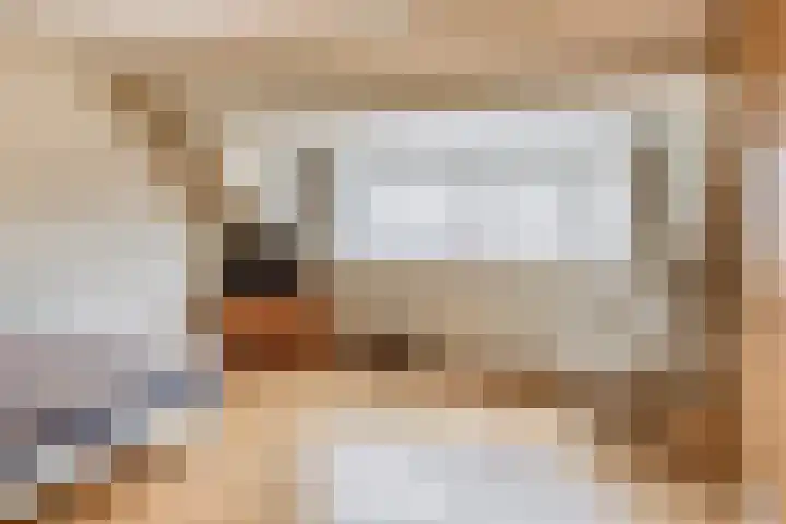Gaardedreef 38 Zoetermeer thumbnail 18