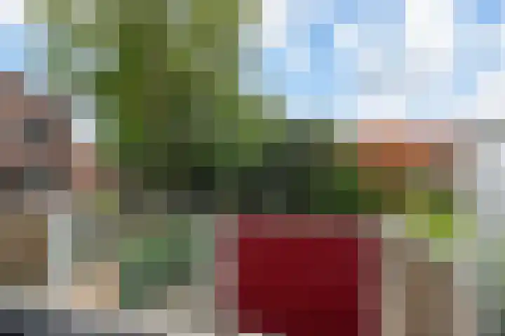 Gaardedreef 59 Zoetermeer thumbnail 10