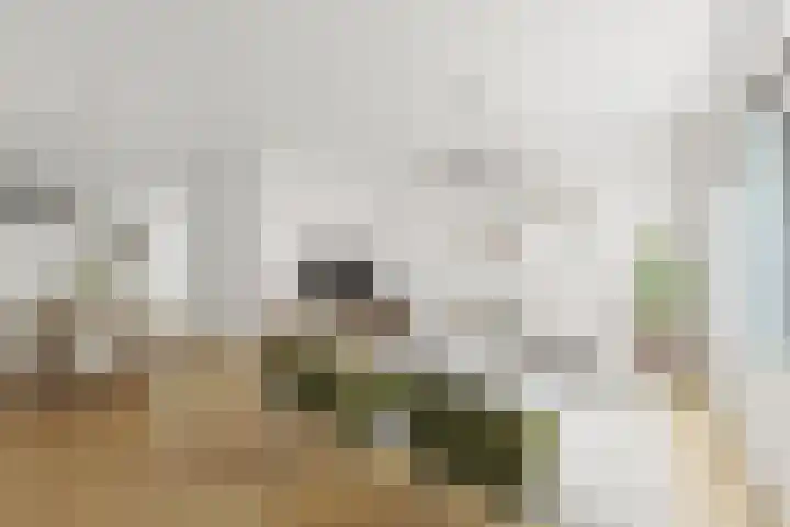 Gaardedreef 59 Zoetermeer thumbnail 17