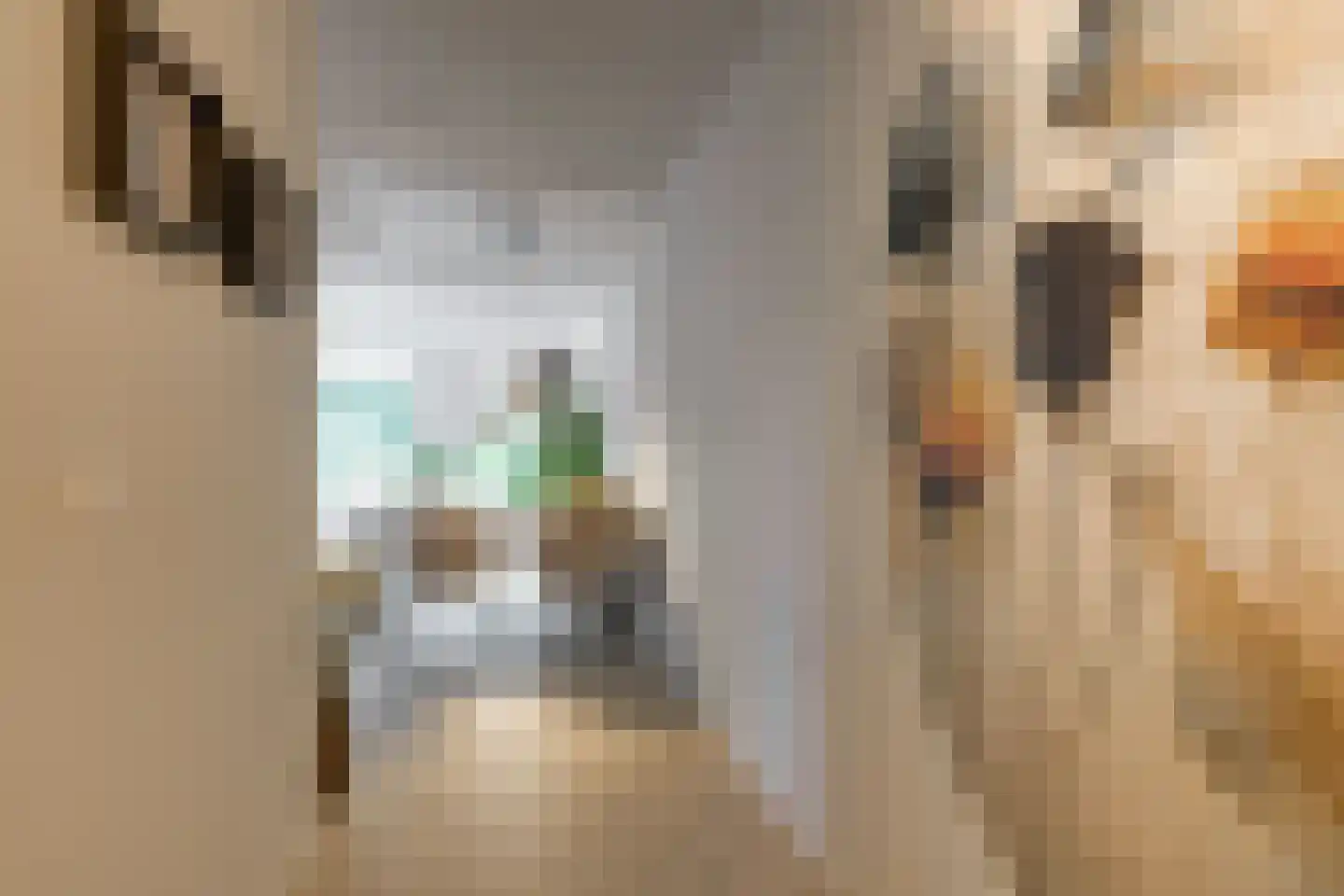 Gaardedreef 61 Zoetermeer thumbnail 13