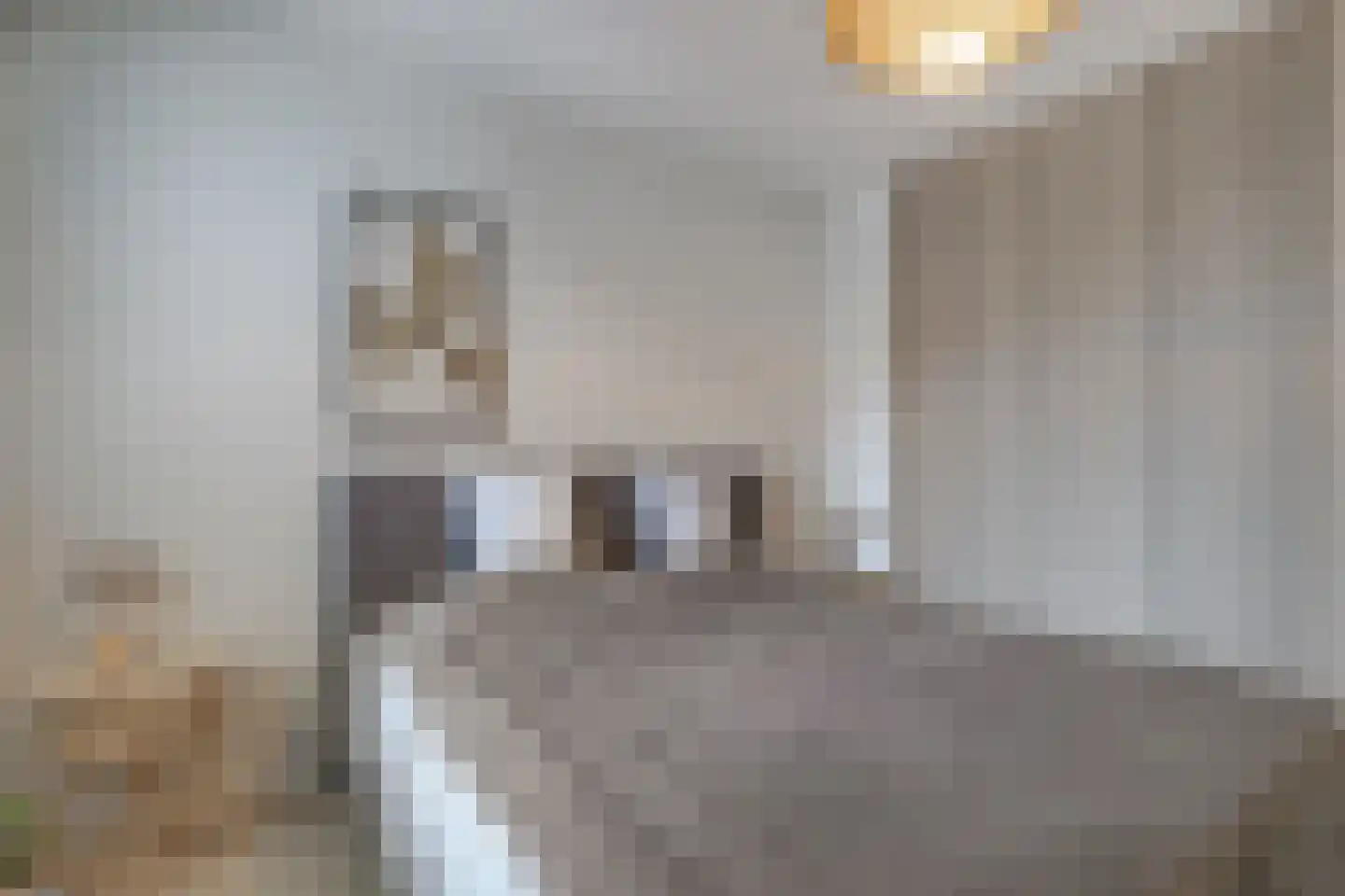 Gaardedreef 61 Zoetermeer thumbnail 26