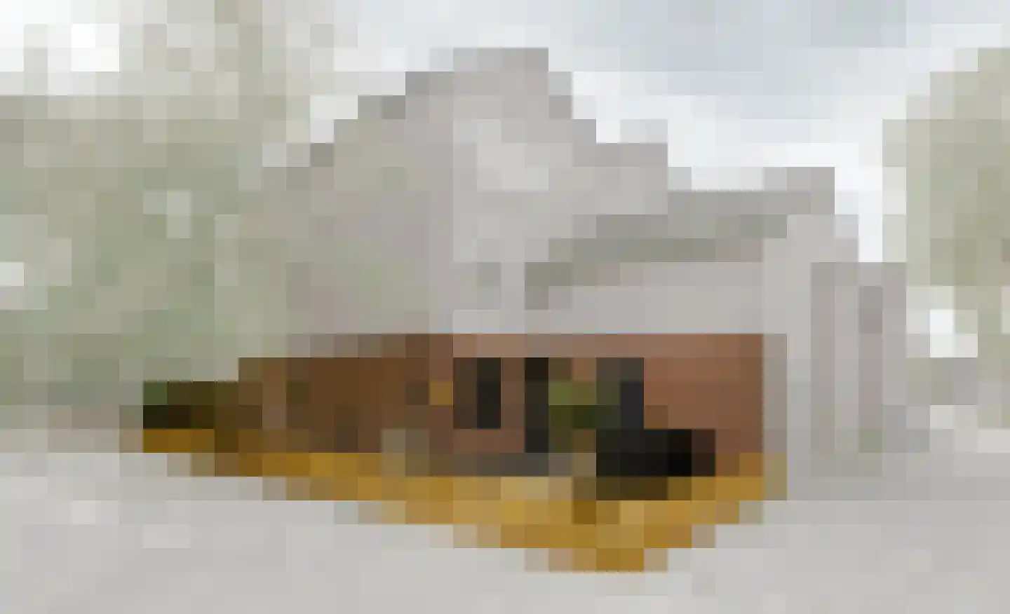 Gaardedreef 61 Zoetermeer thumbnail 36