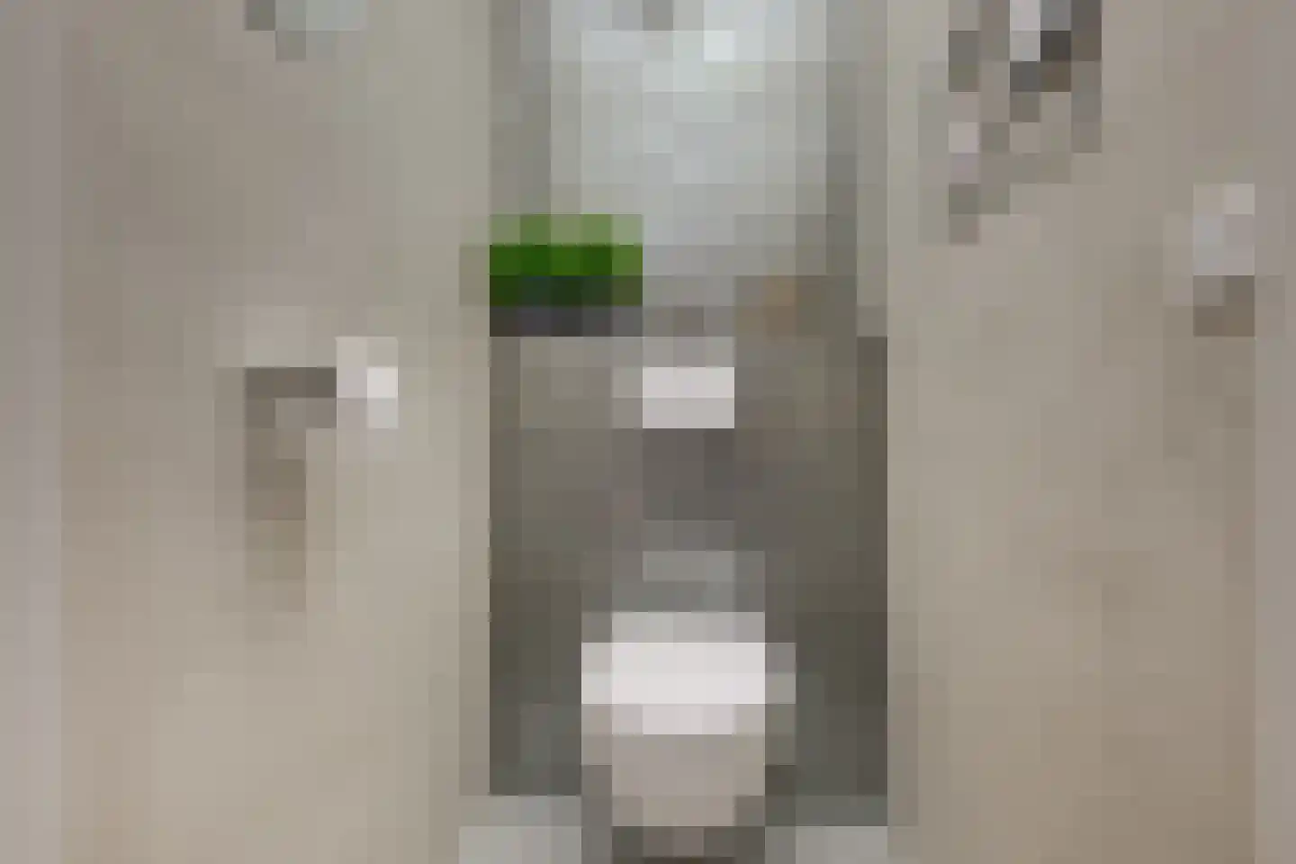 Gaardedreef 61 Zoetermeer thumbnail 9