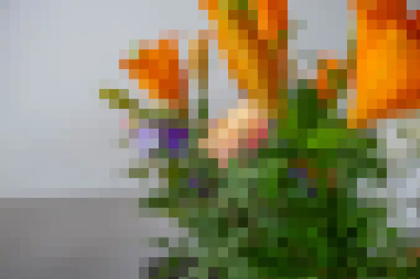 Gaardedreef 79 Zoetermeer thumbnail 12