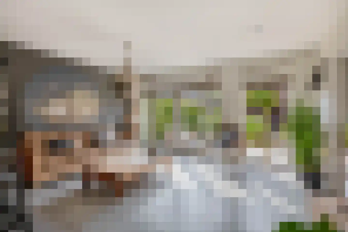 Gaardedreef 79 Zoetermeer thumbnail 14