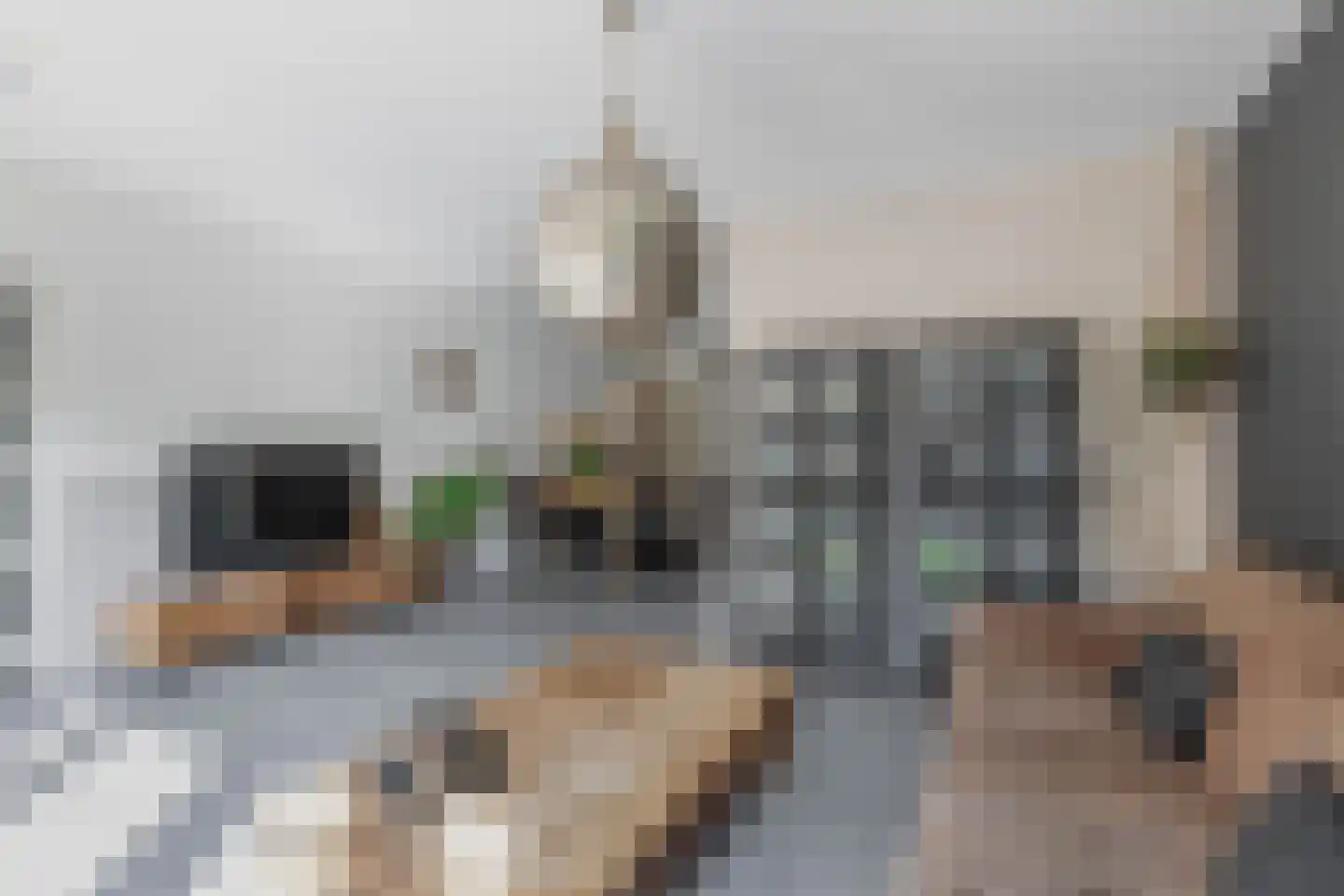 Gaardedreef 79 Zoetermeer thumbnail 16
