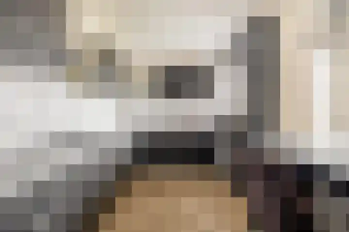 Gaardedreef 85 Zoetermeer thumbnail 10