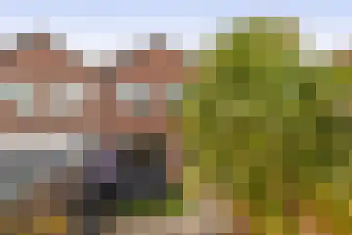 Gaardedreef 85 Zoetermeer thumbnail 17