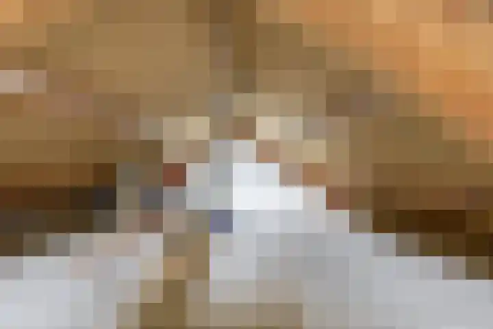 Gaardedreef 85 Zoetermeer thumbnail 30