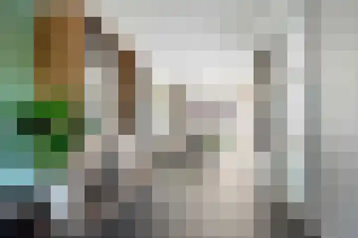 Gaarden 2 c Beltrum thumbnail 12
