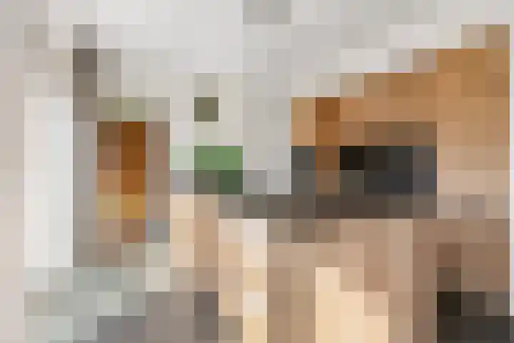 Gaarden 2 c Beltrum thumbnail 17
