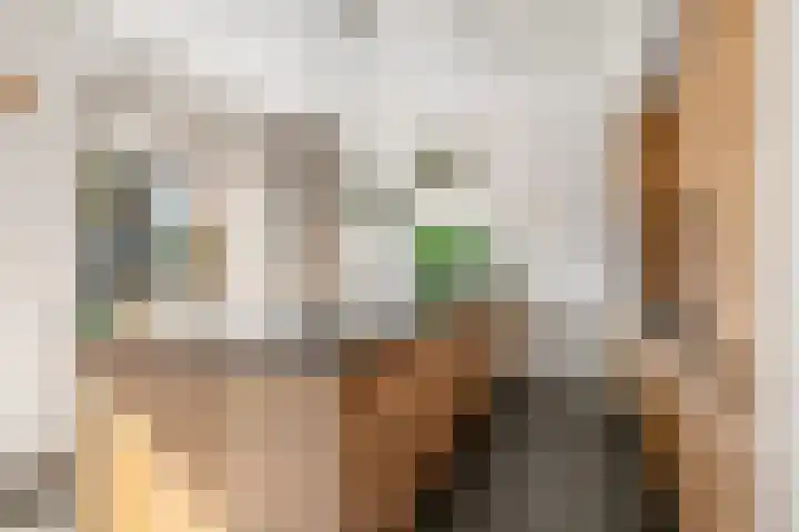 Gaarden 2 c Beltrum thumbnail 19