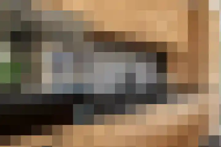 Gaarden 2 c Beltrum thumbnail 20